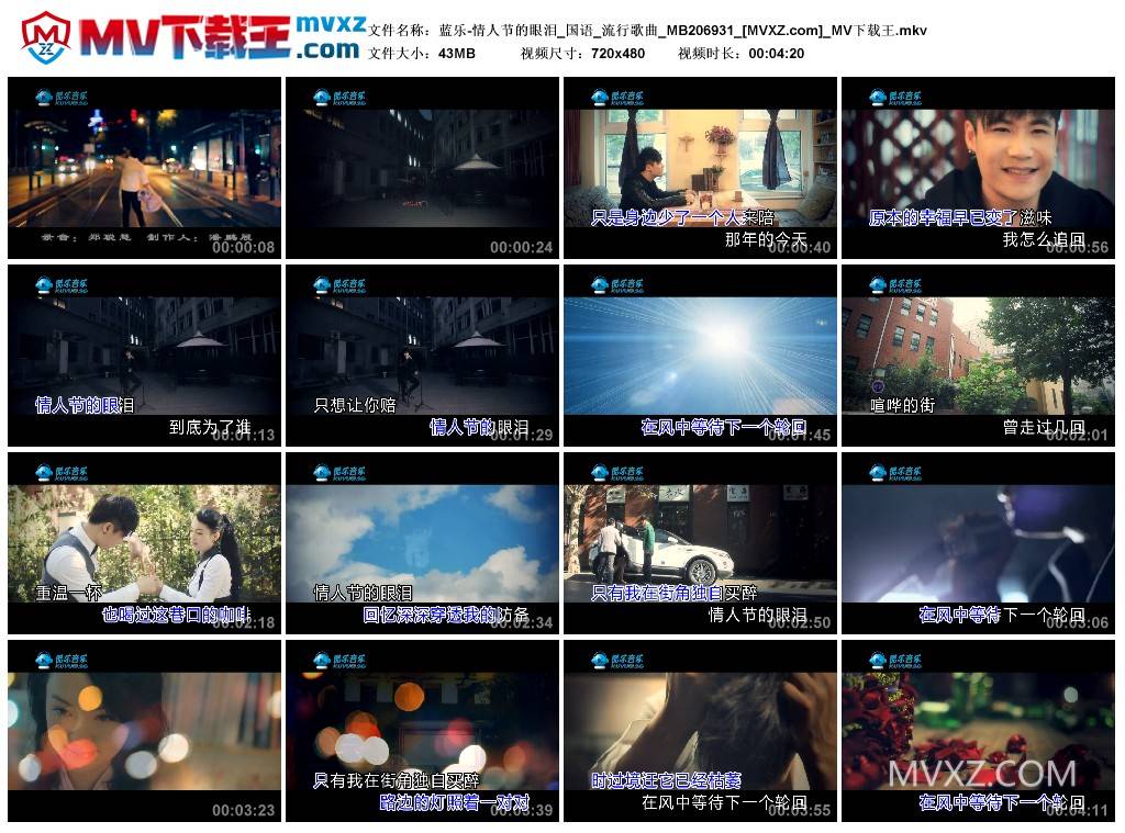 蓝乐-情人节的眼泪_国语_流行歌曲_MB206931